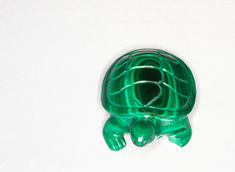 Jade turtle, Las Vegas, NV