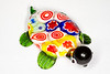Murano glass turtle, Las Vegas, NV