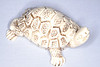 Bone turtle from Ceylon, Las Vegas, NV